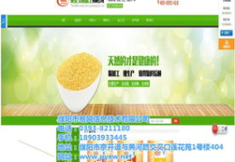 濮阳网站推广,助力企业腾飞之道