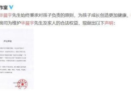 娱乐圈吃瓜鸭,吃瓜鸭带你揭秘幕后真相