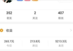 网上赚钱项目,揭秘热门网上赚钱项目与成功秘诀