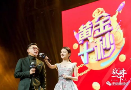 娱乐王国,璀璨星光下的娱乐盛宴