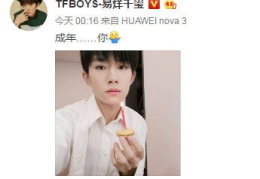 娱乐圈吃瓜talk易烊千玺,娱乐圈的瓜田，他的成长与蜕变