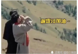 吃瓜娱乐爆料姐弟恋视频,姐弟恋视频曝光,甜蜜互动引网友热议