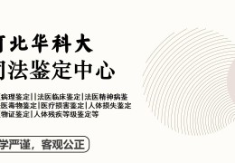 超4亿元！济宁新中标一个大项目，阳光履行：若何盘查案件开展、合联承主张官状师代庖履行案件联系盘查器械汇总（消休公然指南）