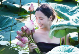 出水芙蓉是什么生肖,探寻美丽象征与生肖文化的交融