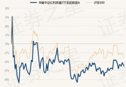 中国基金净值,中国基金净值动态与投资策略解析