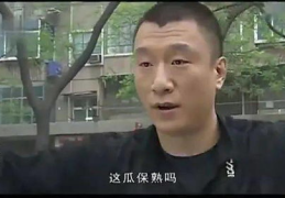 娱乐吃瓜不,吃瓜群众的热议焦点