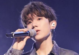 王源演唱会门票,激情之夜，星光璀璨的抢票攻略