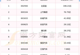 新能源公司排名前十名,前十名企业深度解析